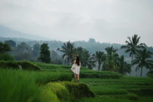 North Bali