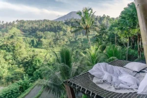 morning in Ubud